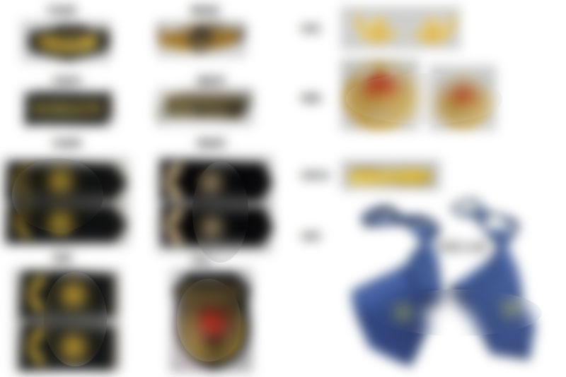 配飾/配件(jiàn)