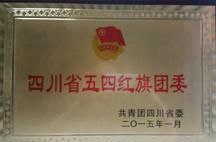 四川省五四紅(hóng)旗團委稱号