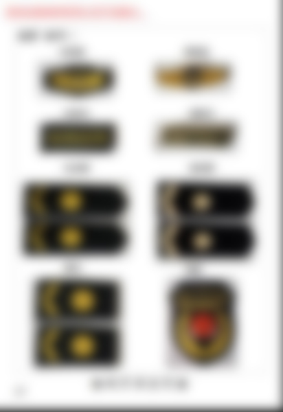 城(chéng)管配件(jiàn)